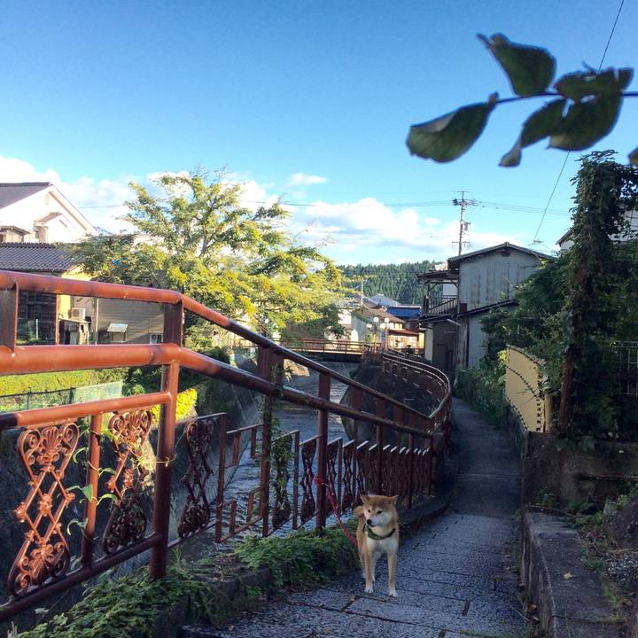 1adda51f 2625 4264 a372 be3208582bf8