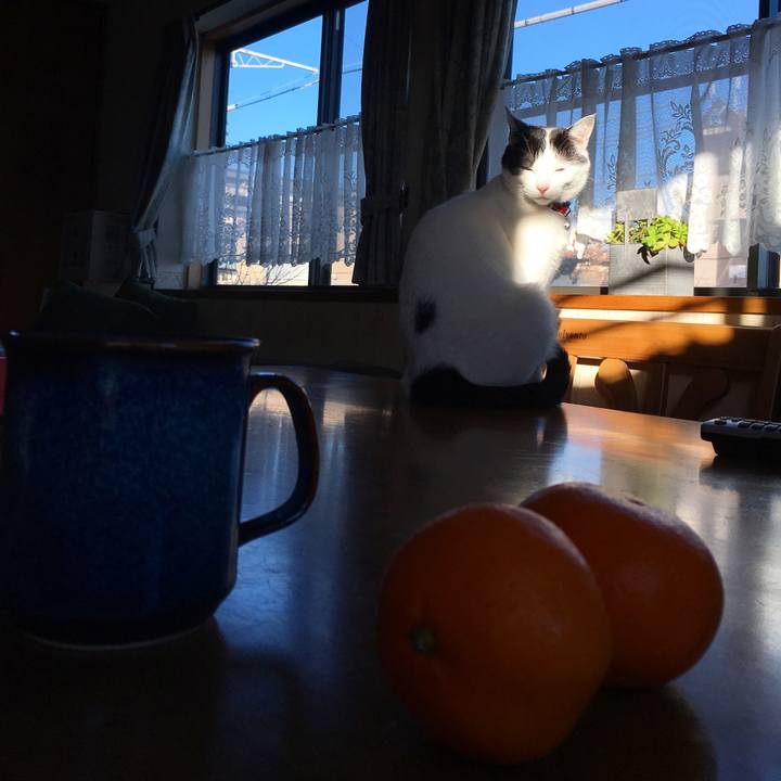 1adde083 95fd 4e7e 92d7 90d6e3918ca0