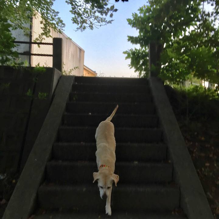 1addf2ef cd33 435b bc57 7fa64ac04114