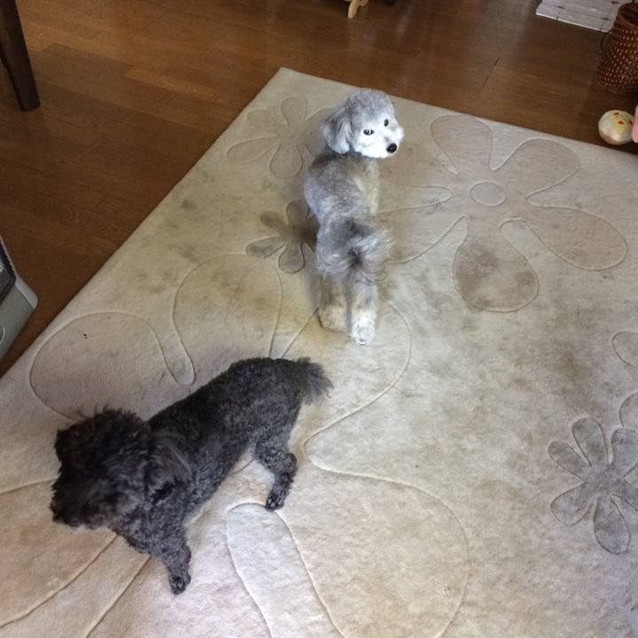 1adf2db6 a93b 4cd3 b6af 028328ab7079