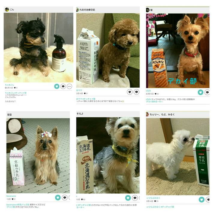 1adf9b68 8315 46c3 89b1 b1346a2a323c