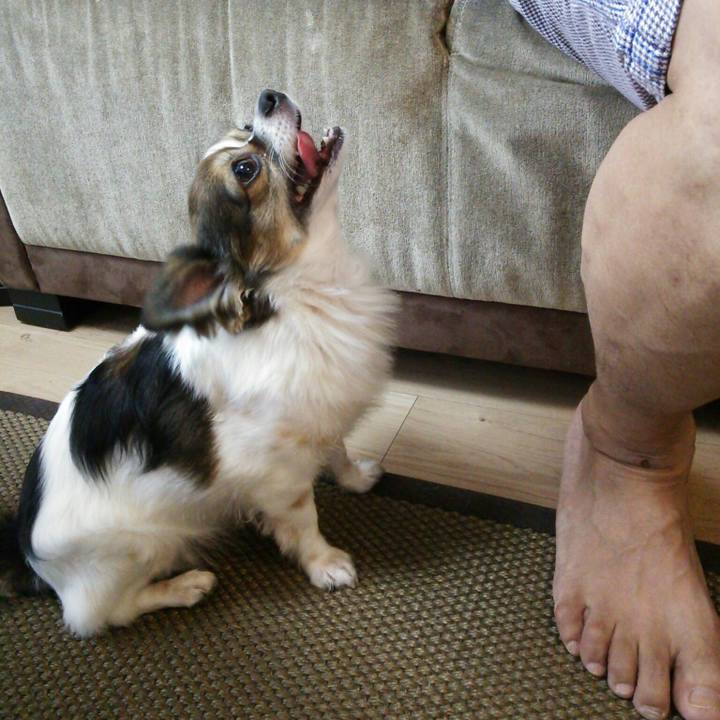 1adfcb31 4afd 4eb2 924a 66d269797c8a