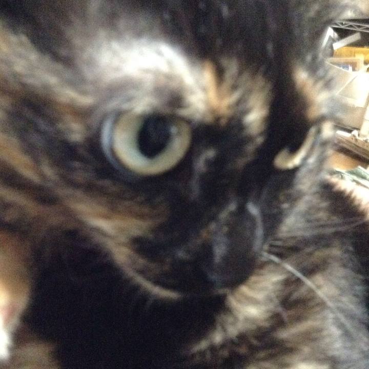 1ae0967f 4f10 4a7d a59d 818dce55a112