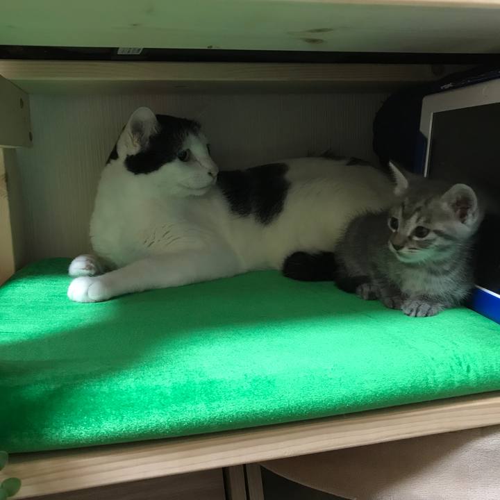 1ae215b8 2df3 4745 8980 3ea33d258d4a