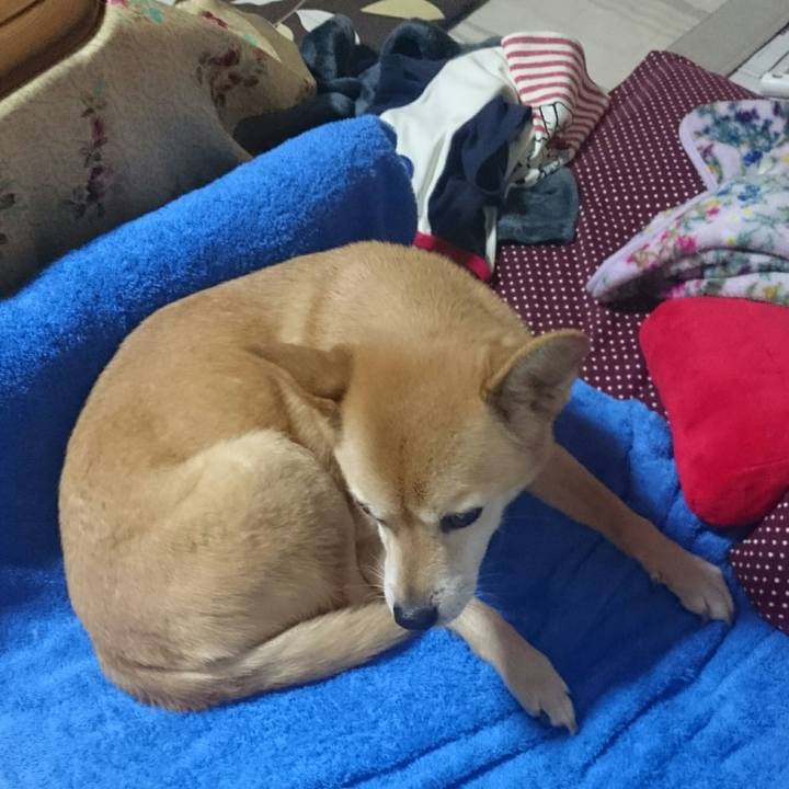 1ae3151d a7ca 481a 8f18 e52a6329877d