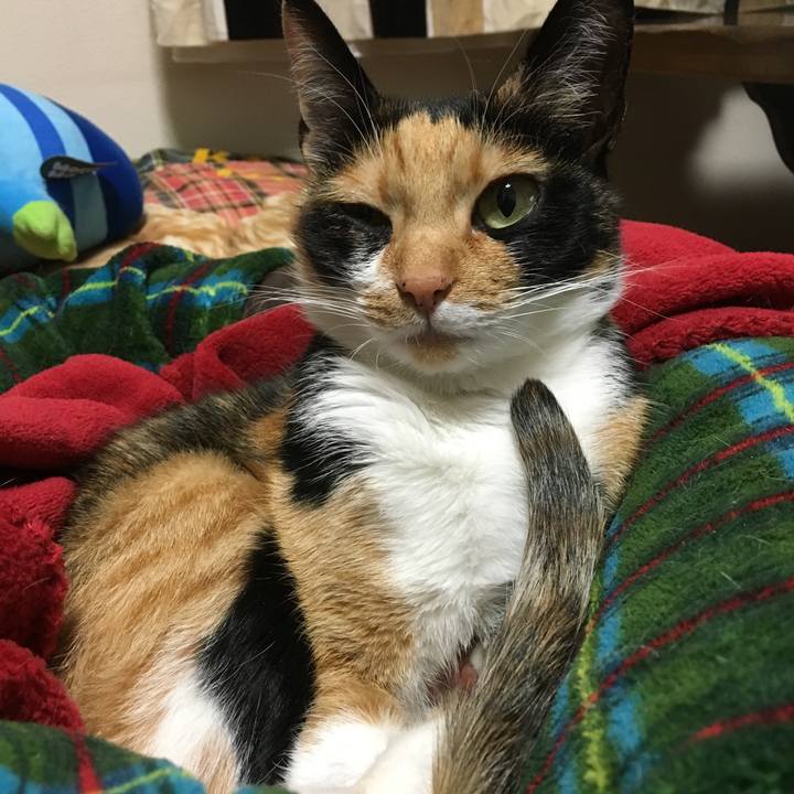 1ae38df7 fc22 431d b056 6bc5129402e4