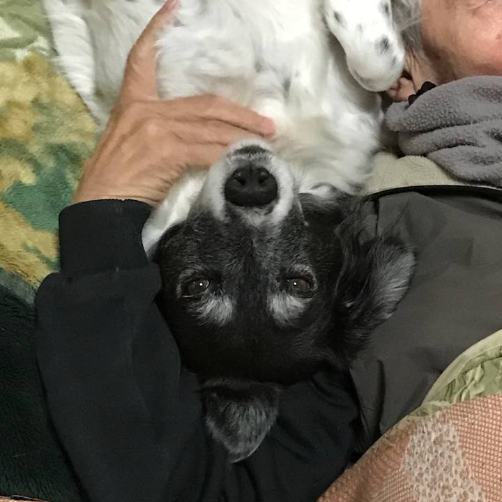 1ae3d157 736e 4d2a 8134 ffe9cb7f5d39