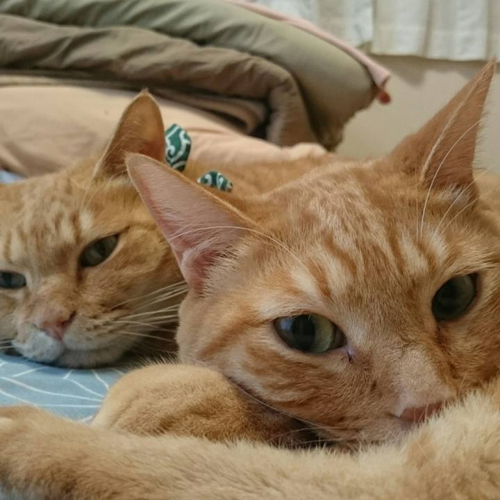 1ae41b99 3c57 45ab 93c0 5a6c8b244c0a