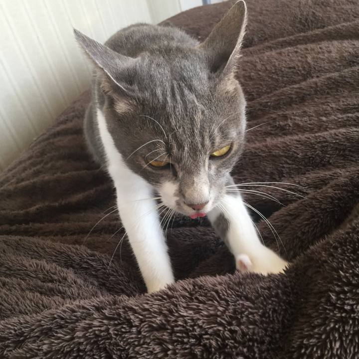 1ae492e8 3d38 455a ab4e 705c2e231a43