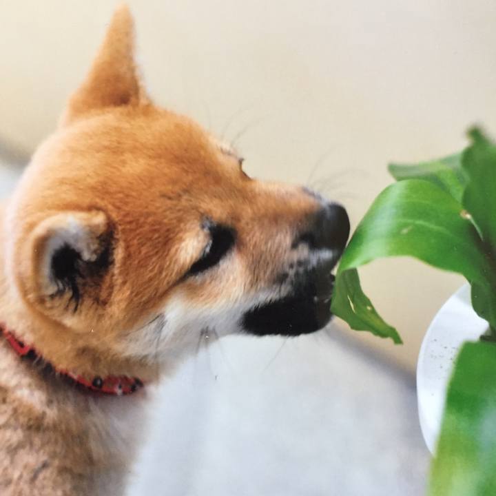 1ae5720a e0a7 4836 8147 f55c48541583