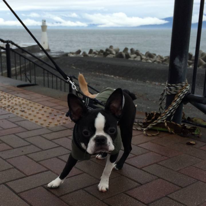 1ae573be f7bc 4ed8 adc0 1491cda28fb4