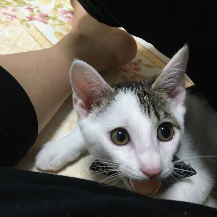 1ae5aa21 7070 4476 9ff9 80a5c1a40a50