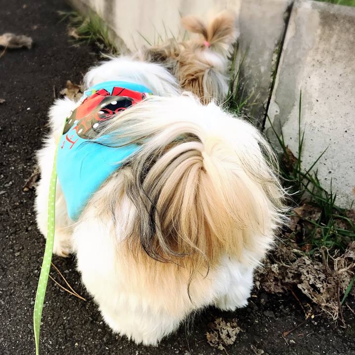 1ae5bbf0 8a81 40e7 83e8 867e79661588