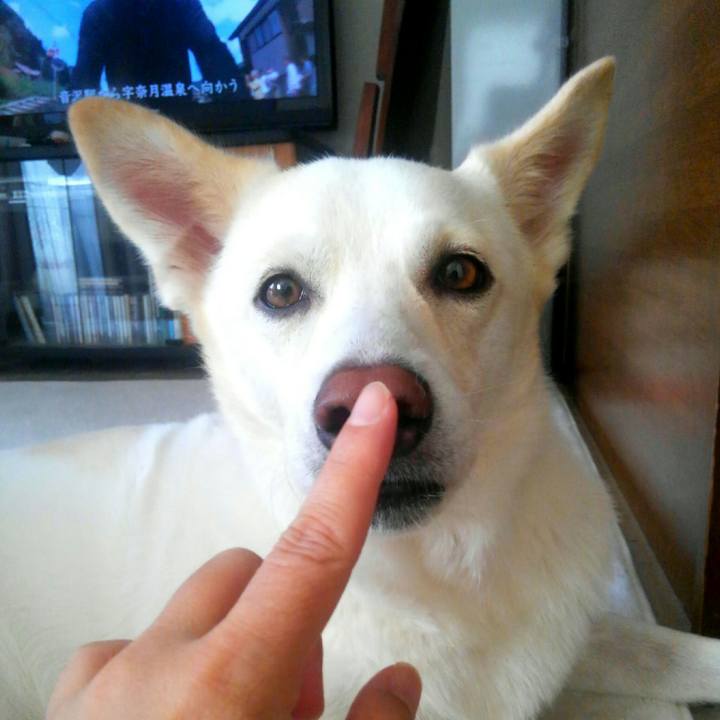 1ae5c70f 0204 4847 8ae0 f6c87ac6473f