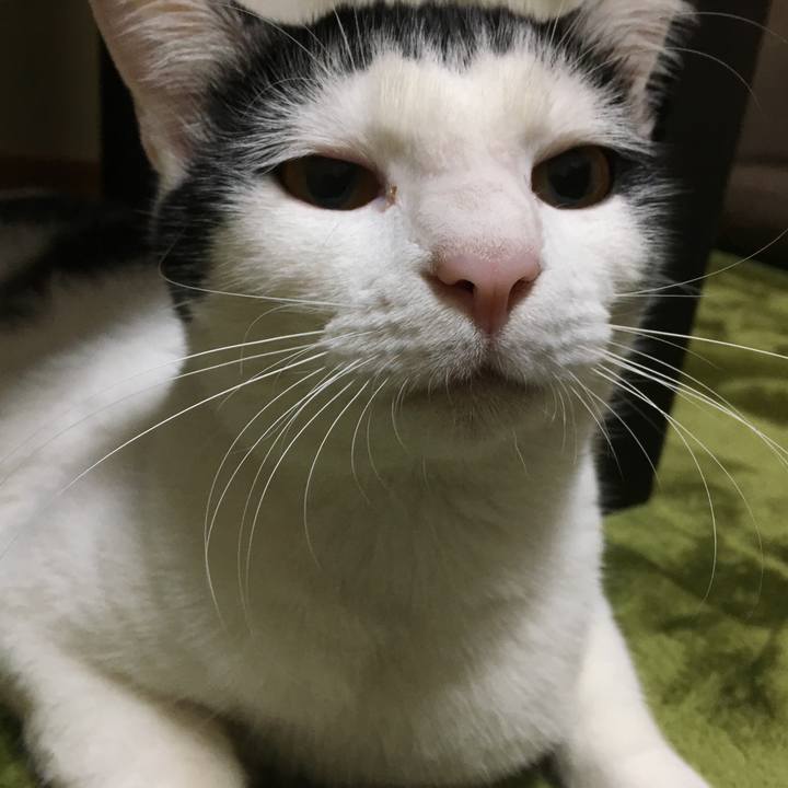 1ae665d9 ba30 41bb aec0 55016367628f