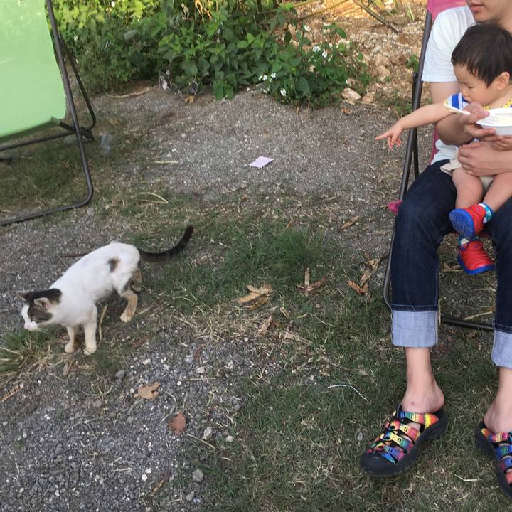 1ae68046 dd40 4aff bbb6 c5aa278cb06a