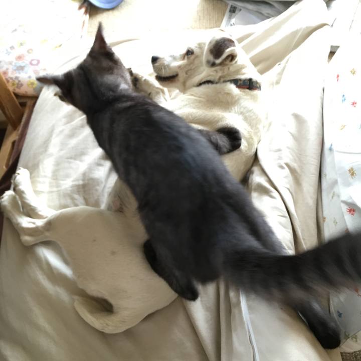 1ae6ec71 ac31 4e8f aba8 abf6a79fc488