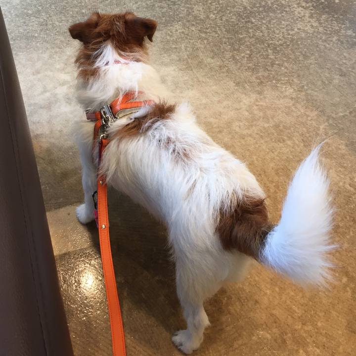 1ae77ff7 cf02 4696 a3dd 20b0afee6073