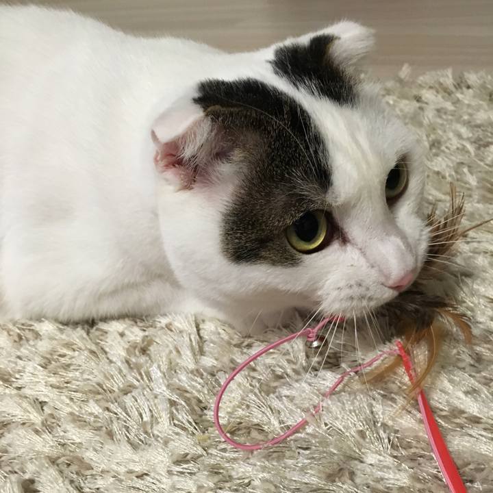 1ae7f57e 7178 4cfd 8f9c faec6ffd4ec2