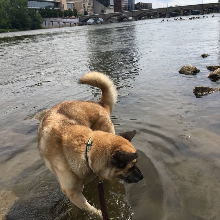 1ae80df5 99fe 420c a7ff 755e6e06b737