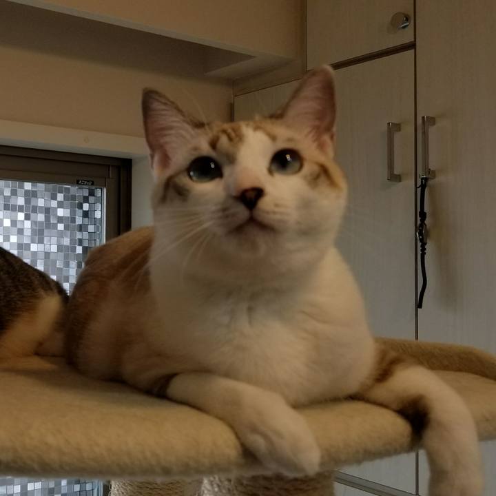 1ae82a73 91e3 42f9 95a9 6461f80604d5