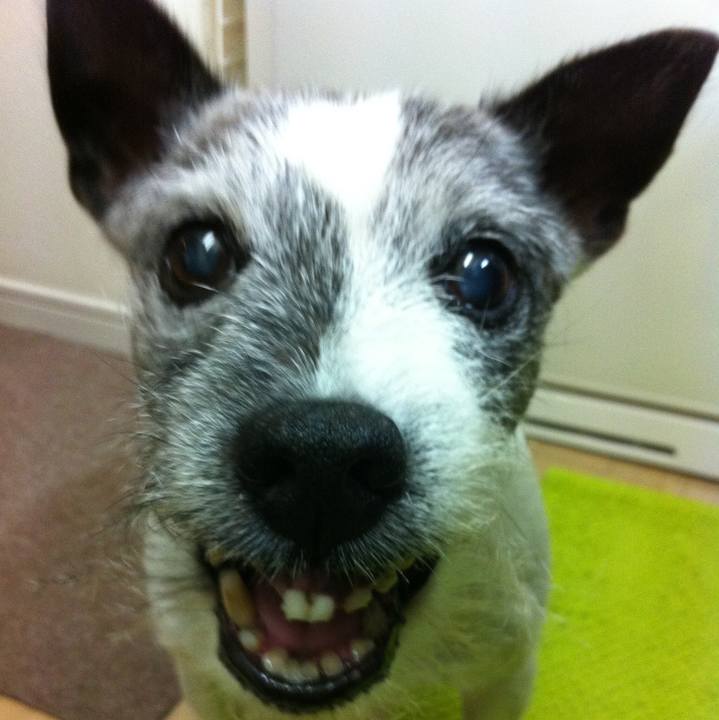 1ae89d8f f376 4b6e 93d7 c816f2e3158e