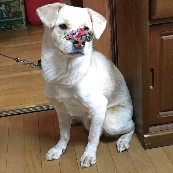 1ae8d215 7d18 4865 b490 8e52acf34294