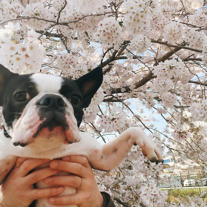 1ae93206 fca7 4ae7 895e d6a585280ce4