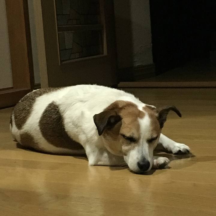 1ae970f6 a73f 4694 96df d72a13f95b1a