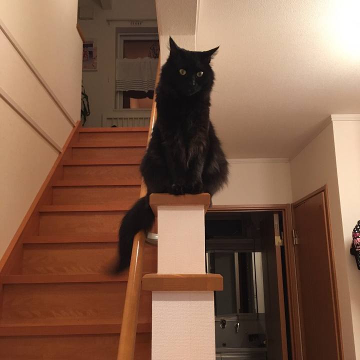 1ae9ec3c d018 4d62 8db6 11ef52f3fa73