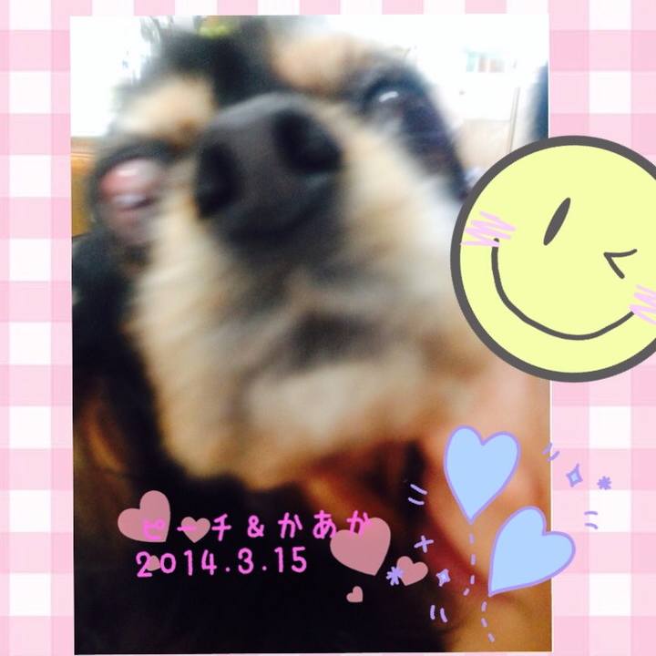 1aea4454 3238 4de6 994f e32bbea203bf