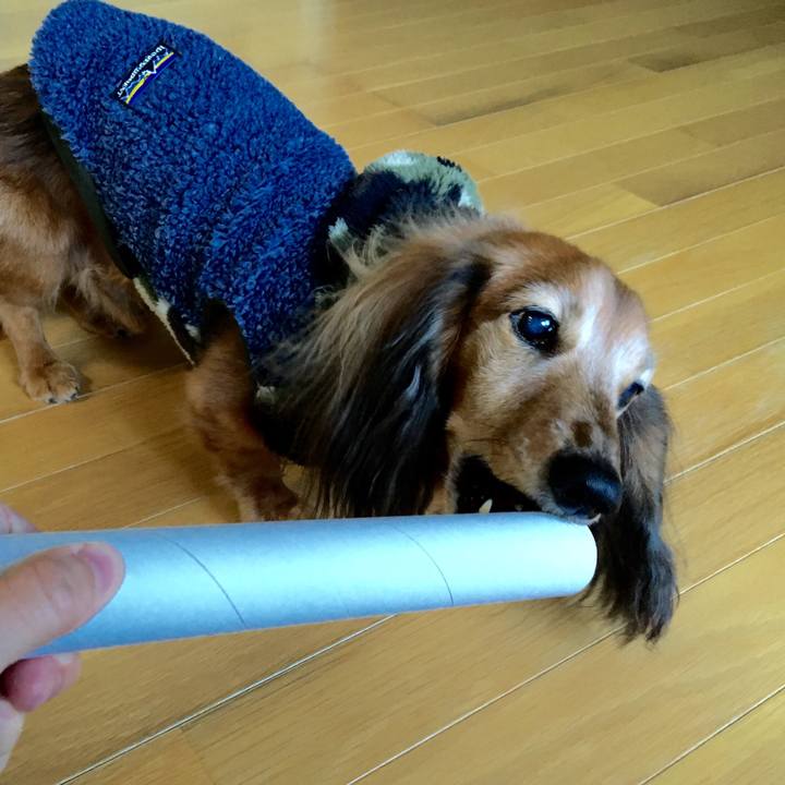 1aeb3b91 5fee 4af4 b1ab 7c43c90d34a3