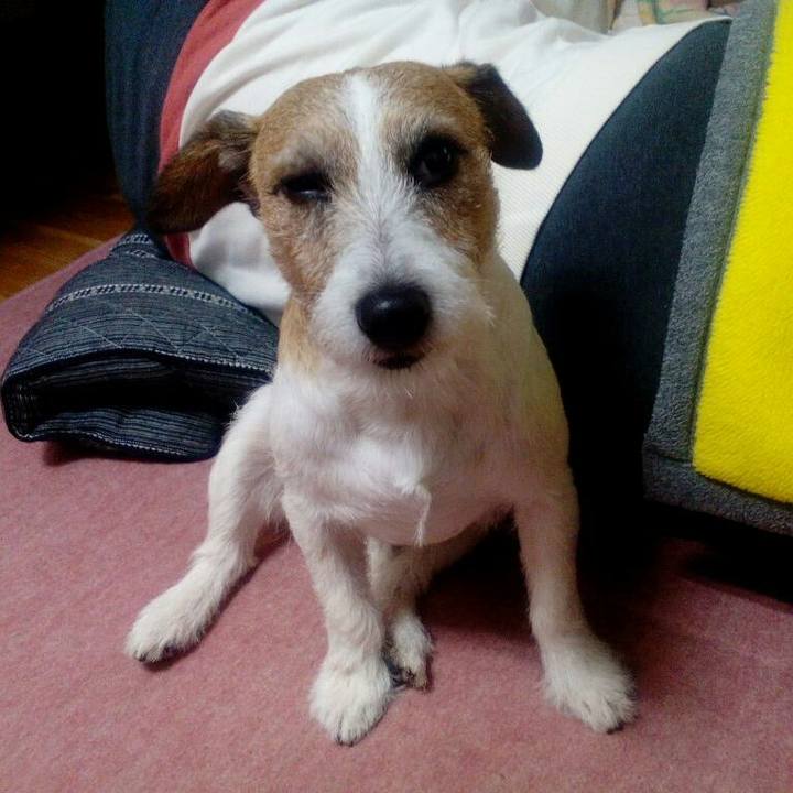 1aeb4140 baa5 4ce9 a5c5 473e72909f9c