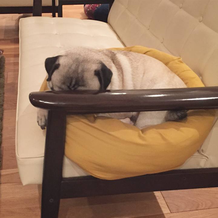 1aeb71a1 943f 4aec 8d5b 5506233d3d75