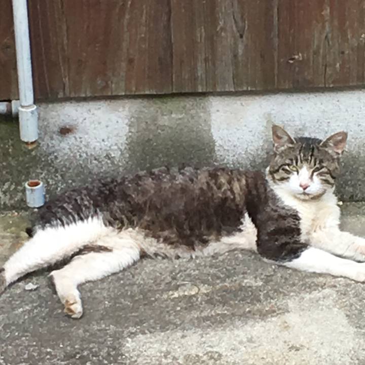 1aec6460 04c6 4fe9 a0d0 e9ad8460ba46