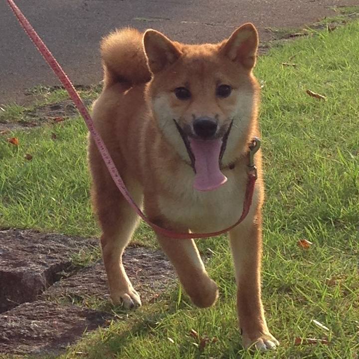 1aec6c72 ab76 44ab 86f3 5fe629beedb4