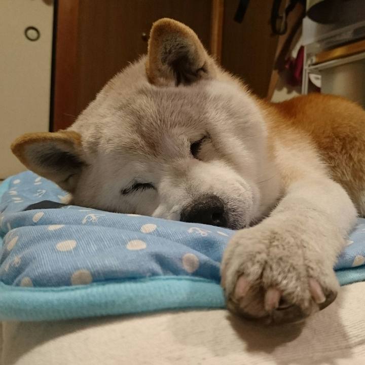 1aecac6d 30c6 4aae ac8a fa92f0ee3e58