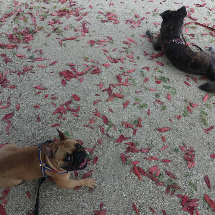 1aecf134 abdc 4c56 bf52 9305f4ffa4d3