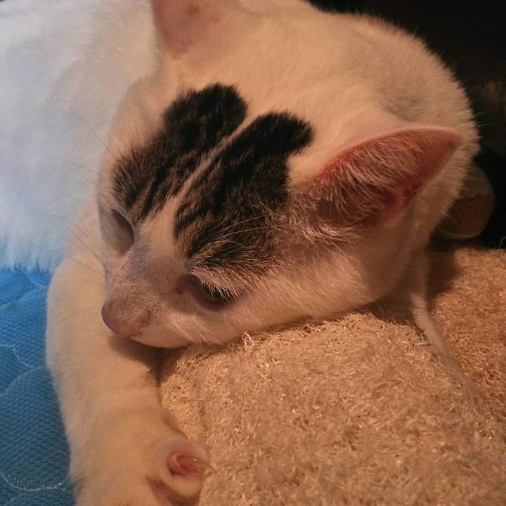 1aed1023 eeb9 42ca 9cee 3094d3c0f6cc