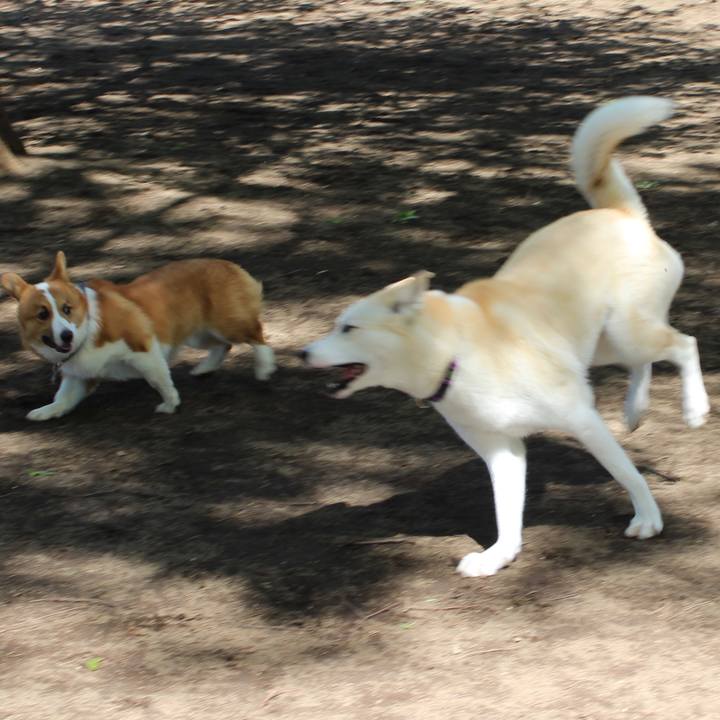 1aede874 7f10 4c70 8fc1 fbe51ddb51a1