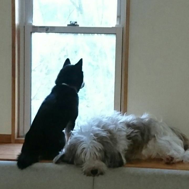 1aeeb0da d2ec 4534 8f32 ca16cda09371