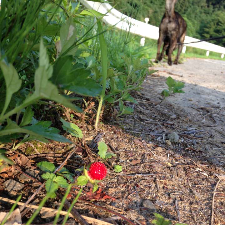 1aeef86b 108b 4c5c aff8 f505157a3ba6