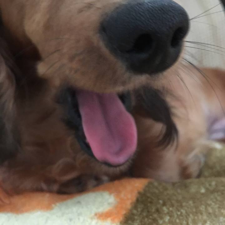 1af01091 2aca 4186 8a9f 918ec1be8ff6