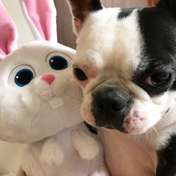 1af03dfa 3c13 4c04 9b42 380a0723fe54