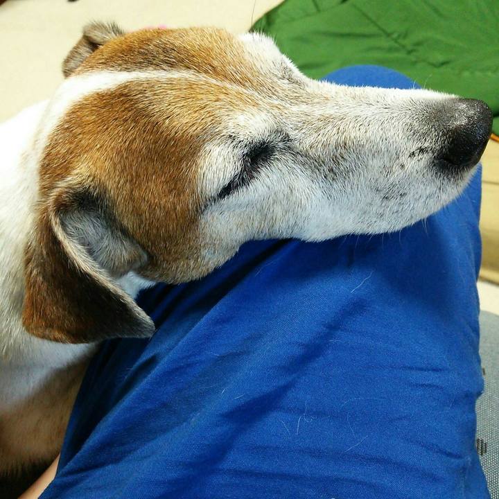 1af0bd5a 6cc1 4e8d acbd 1240782752f3