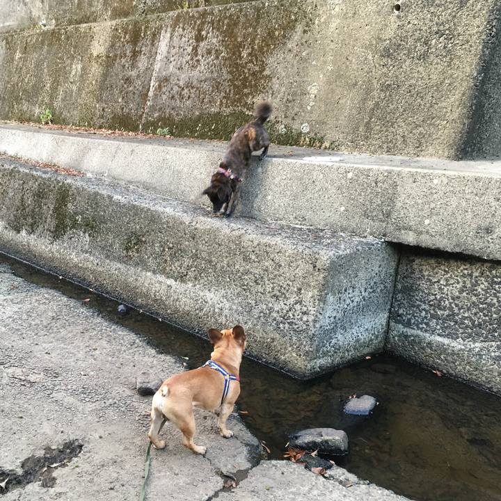 1af1061b 9a0f 4566 a6f7 fce0833fd07f