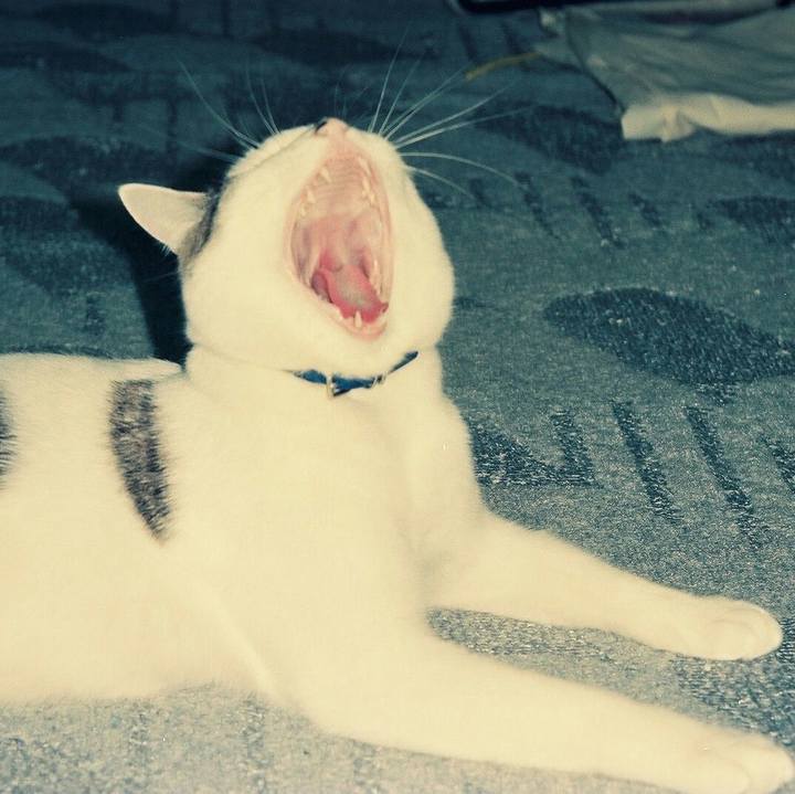 1af10c11 24cd 463c b8ee e7a6008f85c4