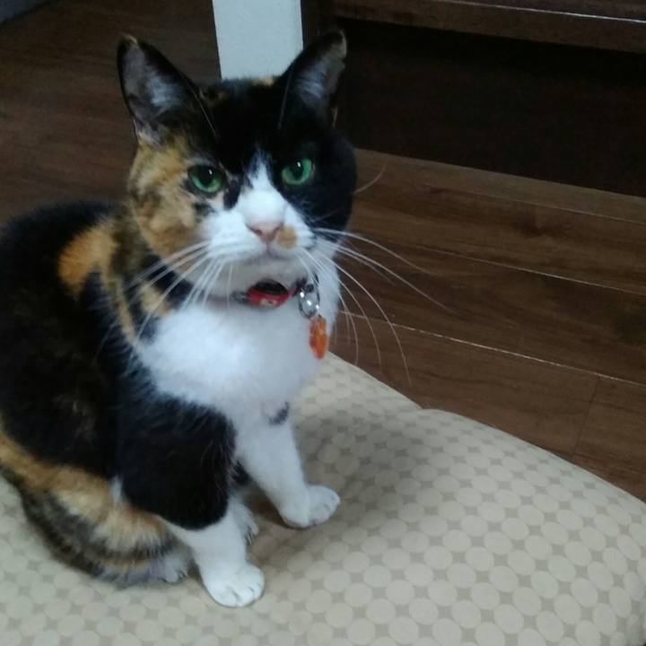 1af111d8 0a0f 4a96 b5e4 b34b4b1bb5f0