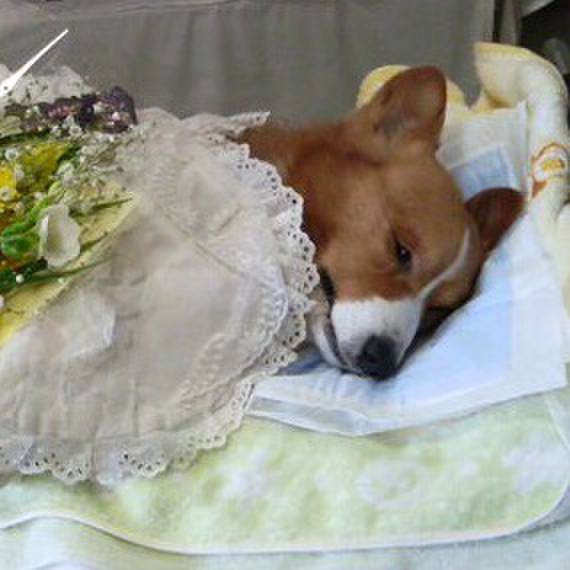 1af15312 1da1 45e4 8771 4db223a273d2