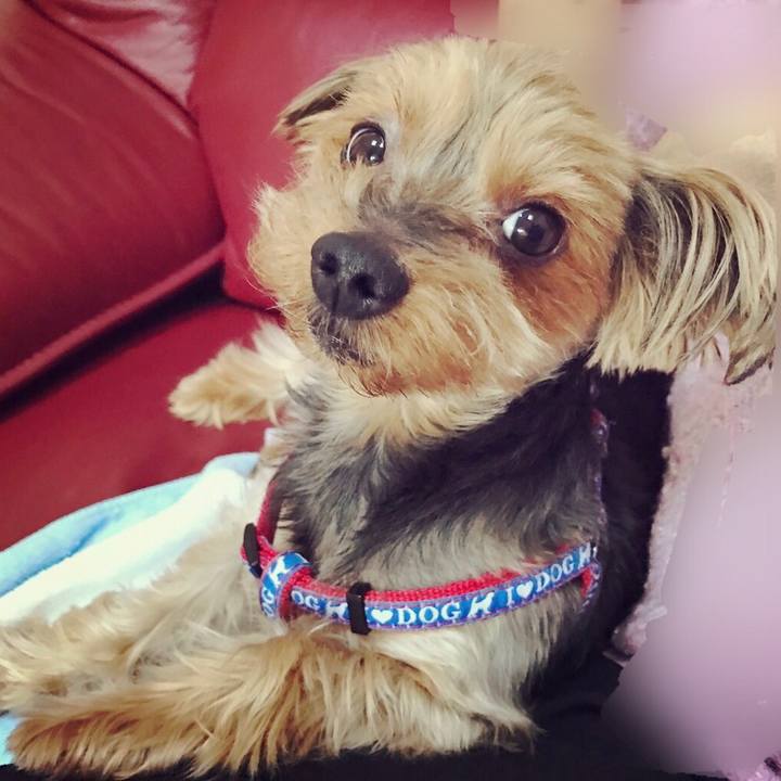 1af26148 2290 44d0 90f1 46ce015db4b4